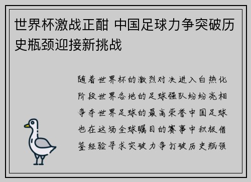 世界杯激战正酣 中国足球力争突破历史瓶颈迎接新挑战