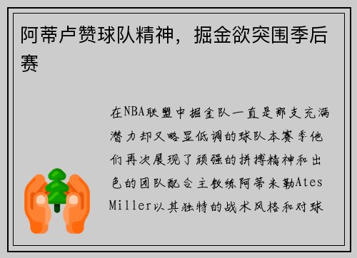 阿蒂卢赞球队精神，掘金欲突围季后赛